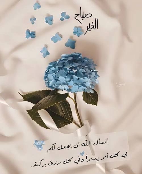 mohsen_alayoubi's tweet image. صباح الخيرات وتحقيق الأمنيات