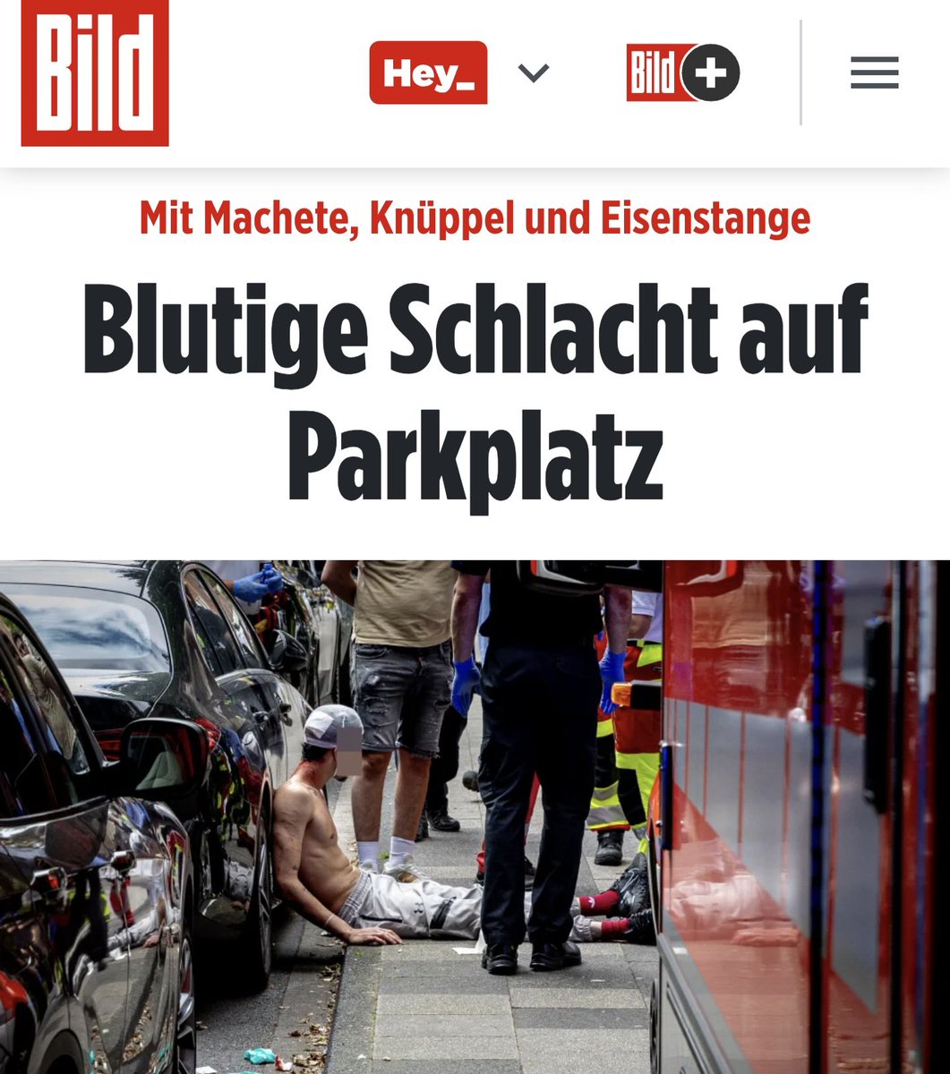 Die Zustände in Deutschland werden von Tag zu Tag schlimmer. 
Aus Messern werden Kettensägen und Macheten...

Unsere Politiker arbeiten erfolgreich daran, dass unser Land immer primitiver, rückständiger und barbarischer wird. 

Am Samstagnachmittag kam es in der