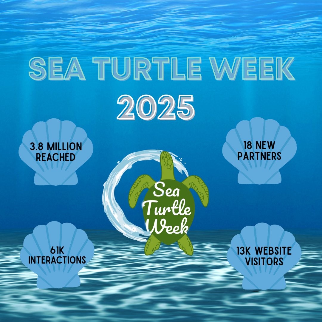 🐢🌊 #SeaTurtleWeek is a wrap! Here's what we accomplished:

🌍 54 beach cleanups in 24 countries
🤝 18 new partners
📣 3.8M reached | 61K interactions
🖥️ 13K site visitors

More turtles, more awareness, more impact. Stay tuned for the art contest winner! 

<a href="/SEEturtles/">SEE Turtles</a>
