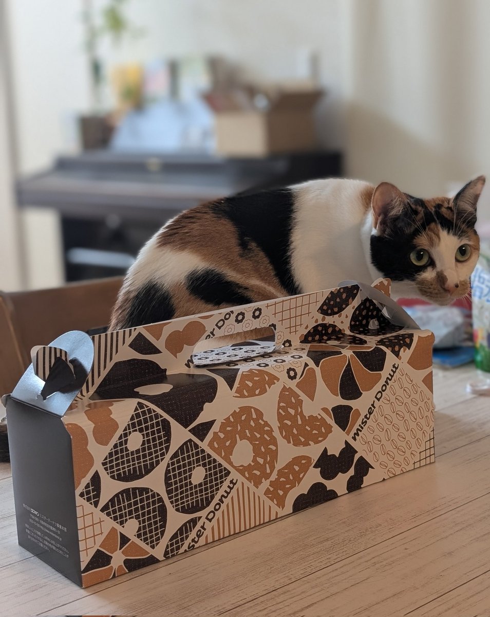 ( ﾟдﾟ) ...(つд⊂)ｺﾞｼｺﾞｼ (；ﾟдﾟ) ...