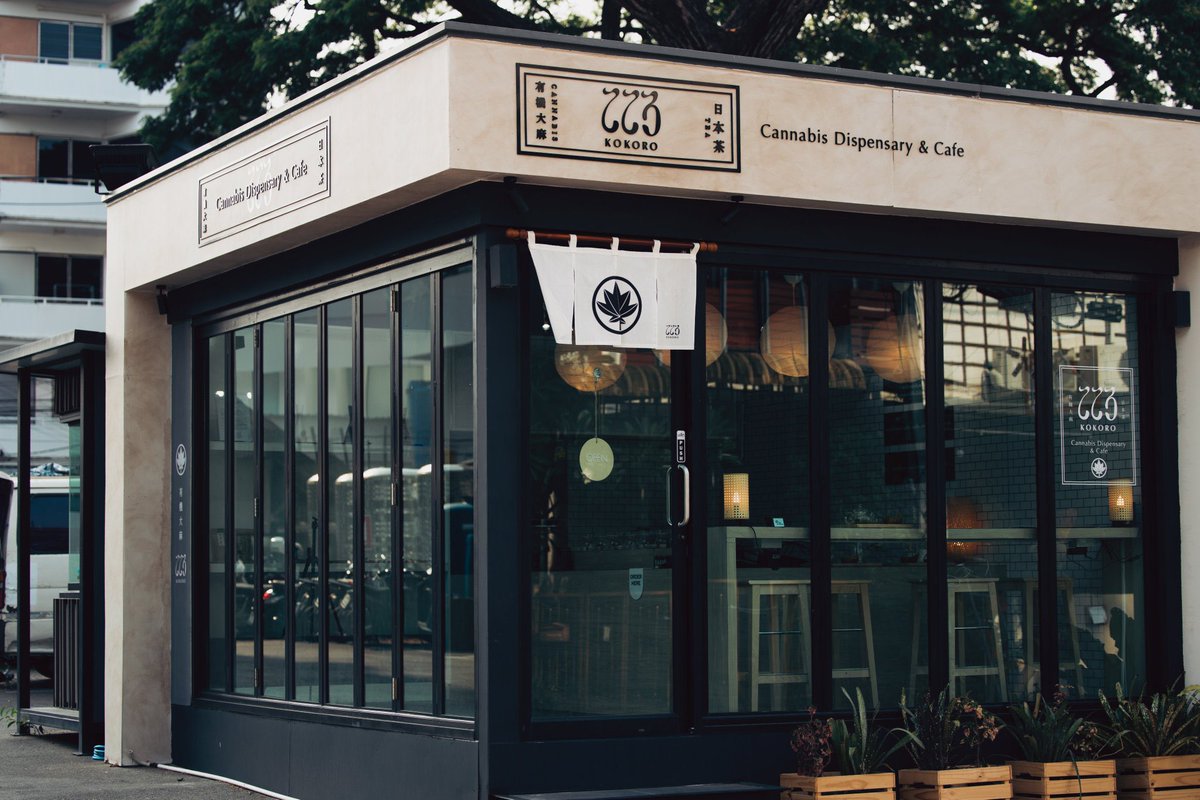 大麻屋サンくん@チェンマイ🇹🇭 tweet media