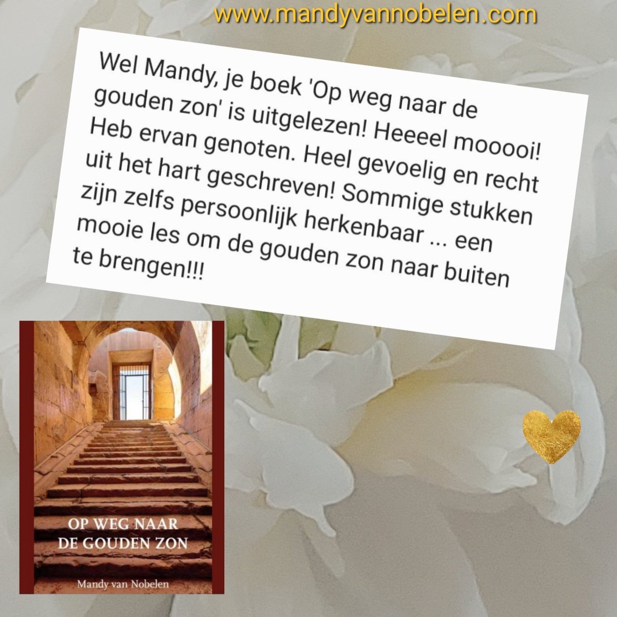 Mandy van Nobelen (@mandyvannobelen) on Twitter photo 