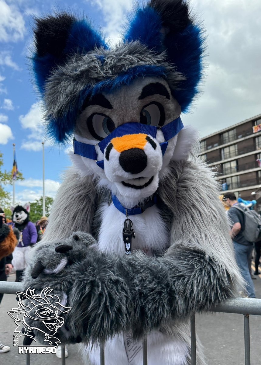 kyrmeso's tweet photo. If you find your pictures here and want them in Higher quality &amp; without watermark reach me out in Telegram 

All photos are taken by 📸 Me 

Fursuiter 🦊 : @Sky_Cyberpaw &amp; Others 🫶

#confuzzled2025 #confuzzled #CFz25 https://t.co/8ynIPhx9sW