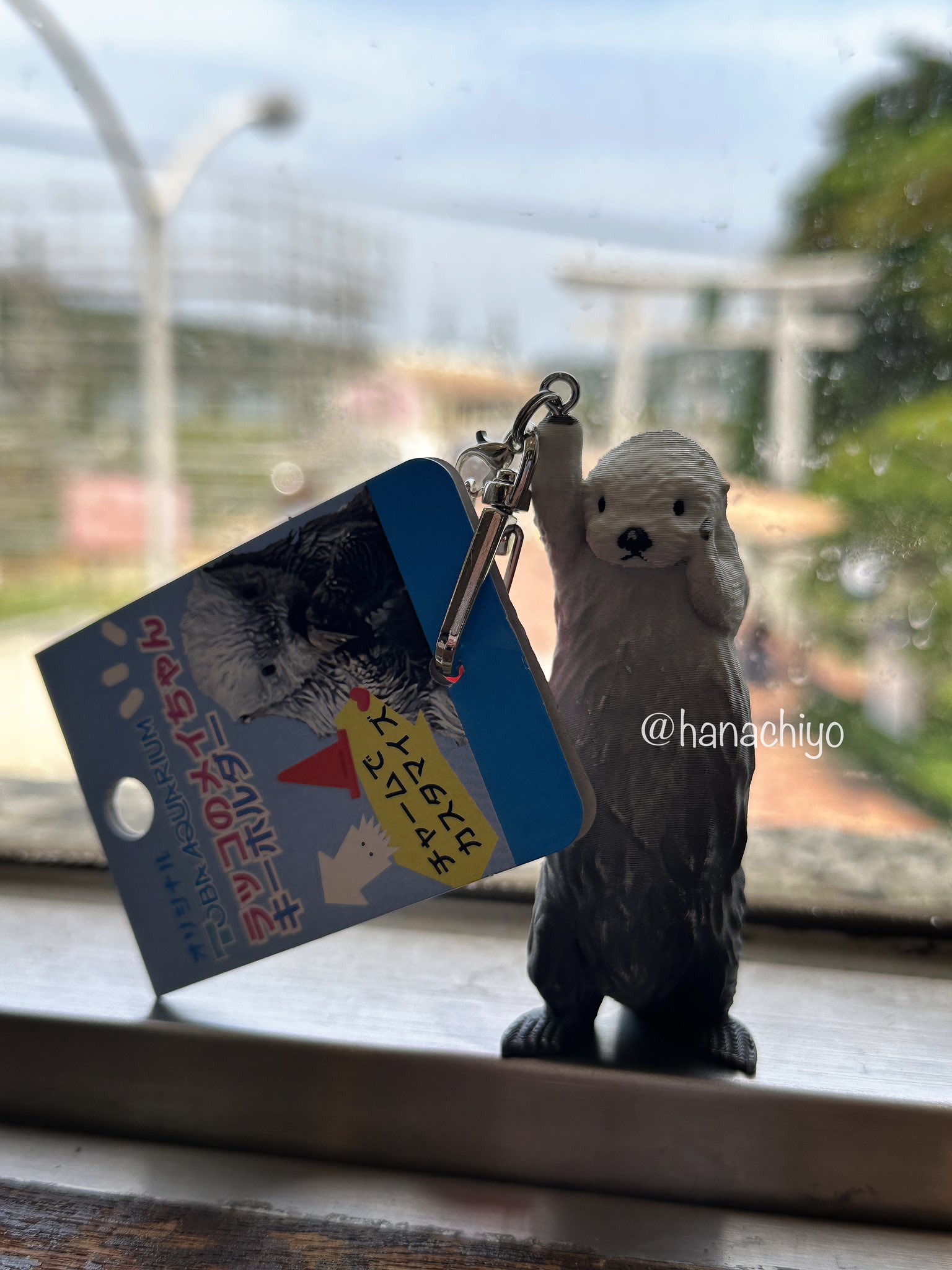 もちこ　様　ラッコ メイちゃん キーホルダー　2個とトバスイ　コレカ　10パック Amazon.co.jp: 鳥羽水族館 ラッコ メイちゃん キラちゃん 木札
