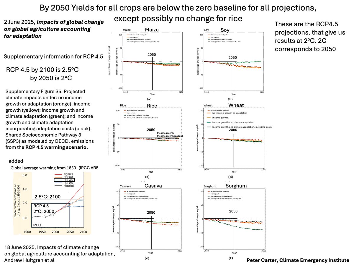 CROPS IN DECLINE BY 2050.    June 2025 paper on crops 
Even with adaptation by 2050 Yields for all crops are below the zero baseline for all projections, except possibly no change for rice. That's a huge drop in global food production- soon. The crop models do not include pests