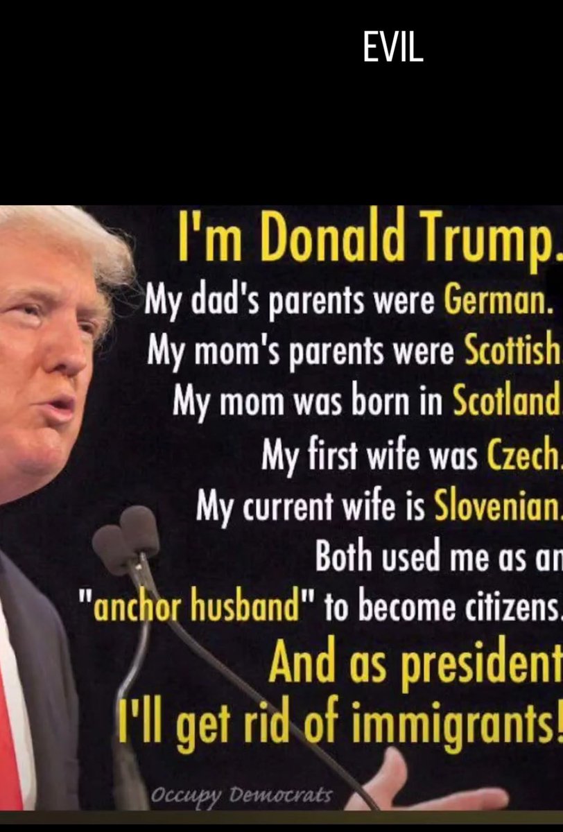 💙 Patricia Newman 💙 (dog lover) 💙 (@pnewman51) on Twitter photo 