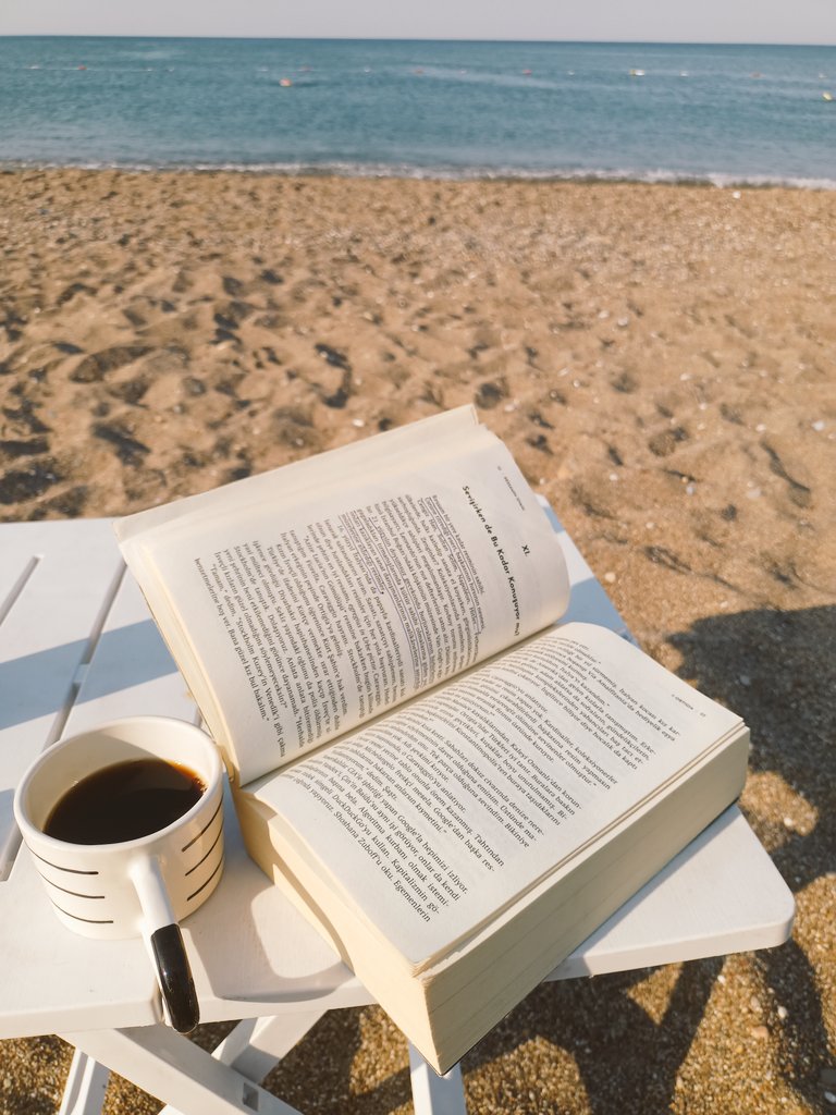 Rüzgarın bu sayfaları rastgele çevirdiği gibi, Vassaf'da 1600'lü yılların "Ressamın İsyanı"ndan yola çıkarak kaotik insanı, rüzgarın bu sayfaları çevirdiği gibi her hali ile çevirerek anlatmış. Hiç bir yanını es geçmemiş, geçememiş. Düzen eleştirisinin tillahını yazmış böylece...