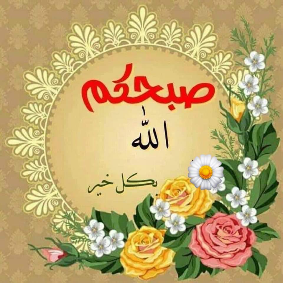 ﴿وَسَيَجْزِي اللهُ الشَّاكِرِينَ﴾

«اللَّهُمَّ لَكَ الحَمْدُ حَمْدًا كَثِيرًا طَيِّبًا مُبَارَكًا فِيهِ ، كَمَا يَنْبَغِي لِجَلَالِ وَجْهِكَ وَعَظِيمِ سُلْطَانِكَ»

 #صباح_الخير