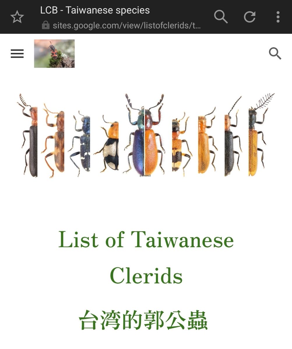 allochotes's tweet image. 日本より台湾のほうが記載した種多いのか。sites.google.com/view/listofcle…