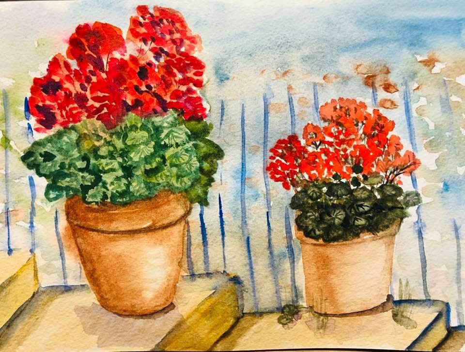 Geraniums… or I should say Pelargoniums are loving this hot weather. Always loved these red ones… lining balconies and streets in Mediterranean towns. 🖌️😘🎨👩‍🎨ArtfulCodger. X
