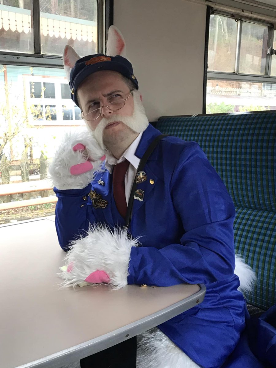 The Forest Railway Stories tweet media