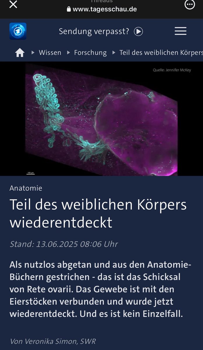 einfachsoNina tweet media