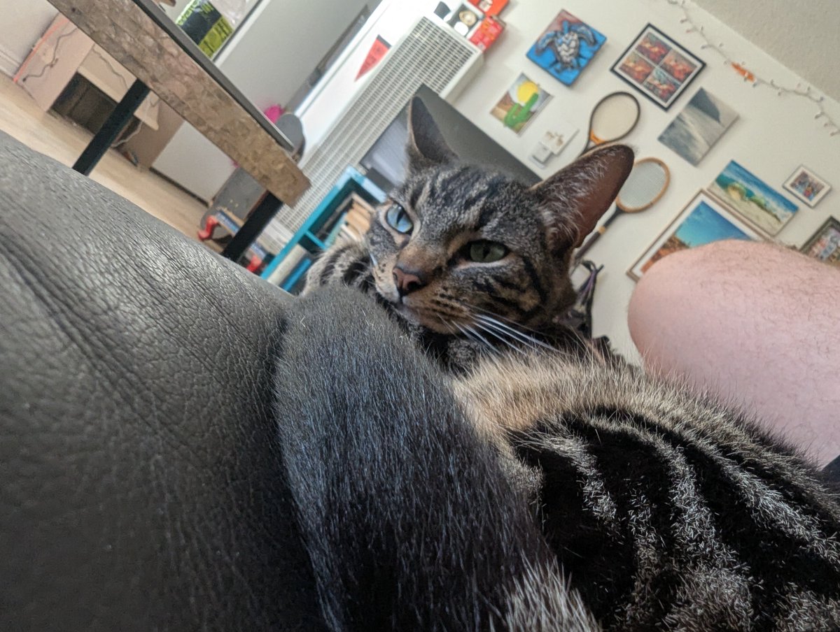 Elliot Roth || SF tweet media