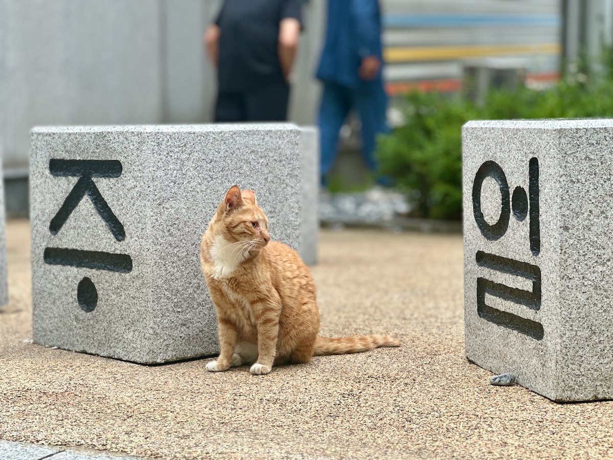 lbridge1968's tweet photo. 안녕하세요 https://t.co/mbqcDHT02l