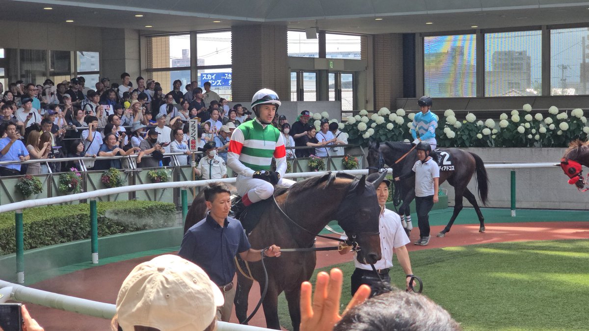 potamon_Channel's tweet photo. ルメちゃん頑張れ👊😆🎵
#福島競馬場 https://t.co/Em7KWhgJ3I