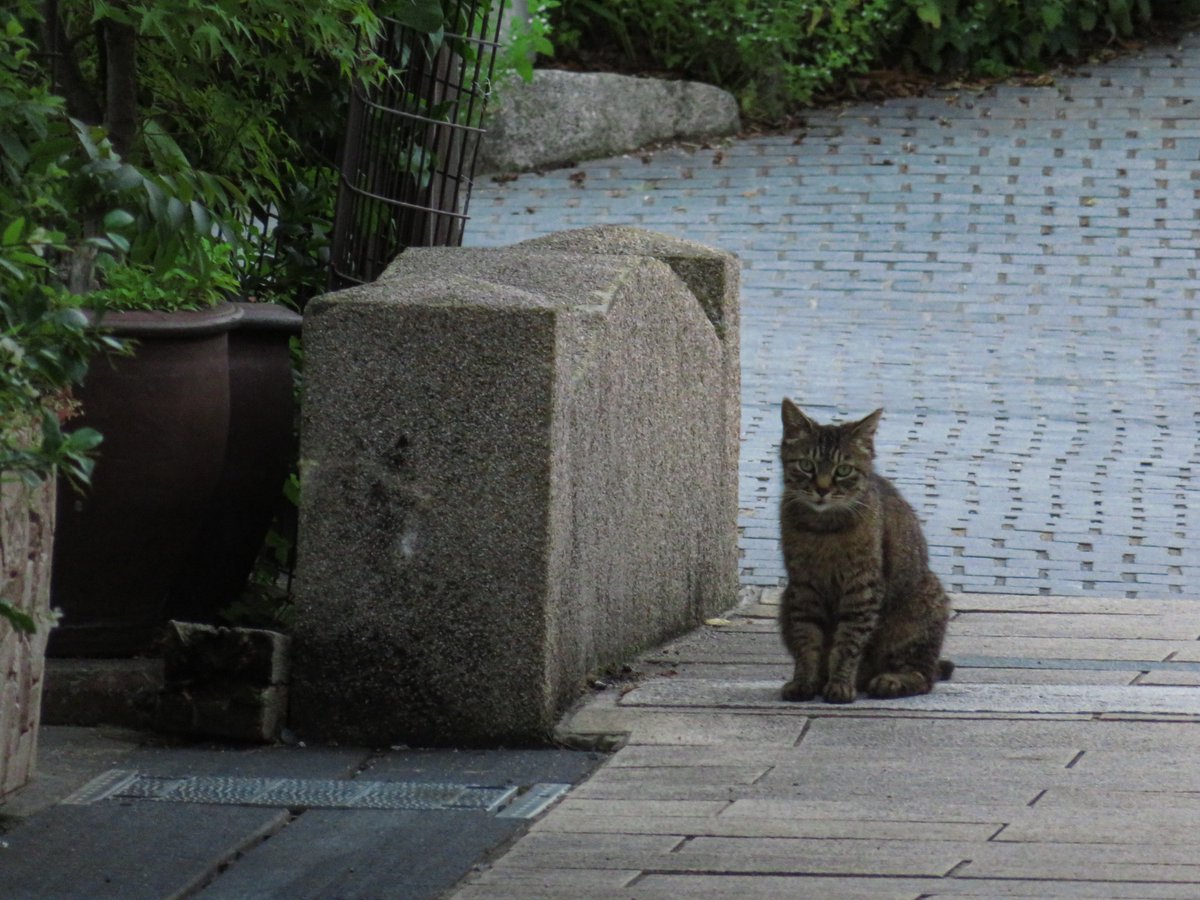 おはようございます。