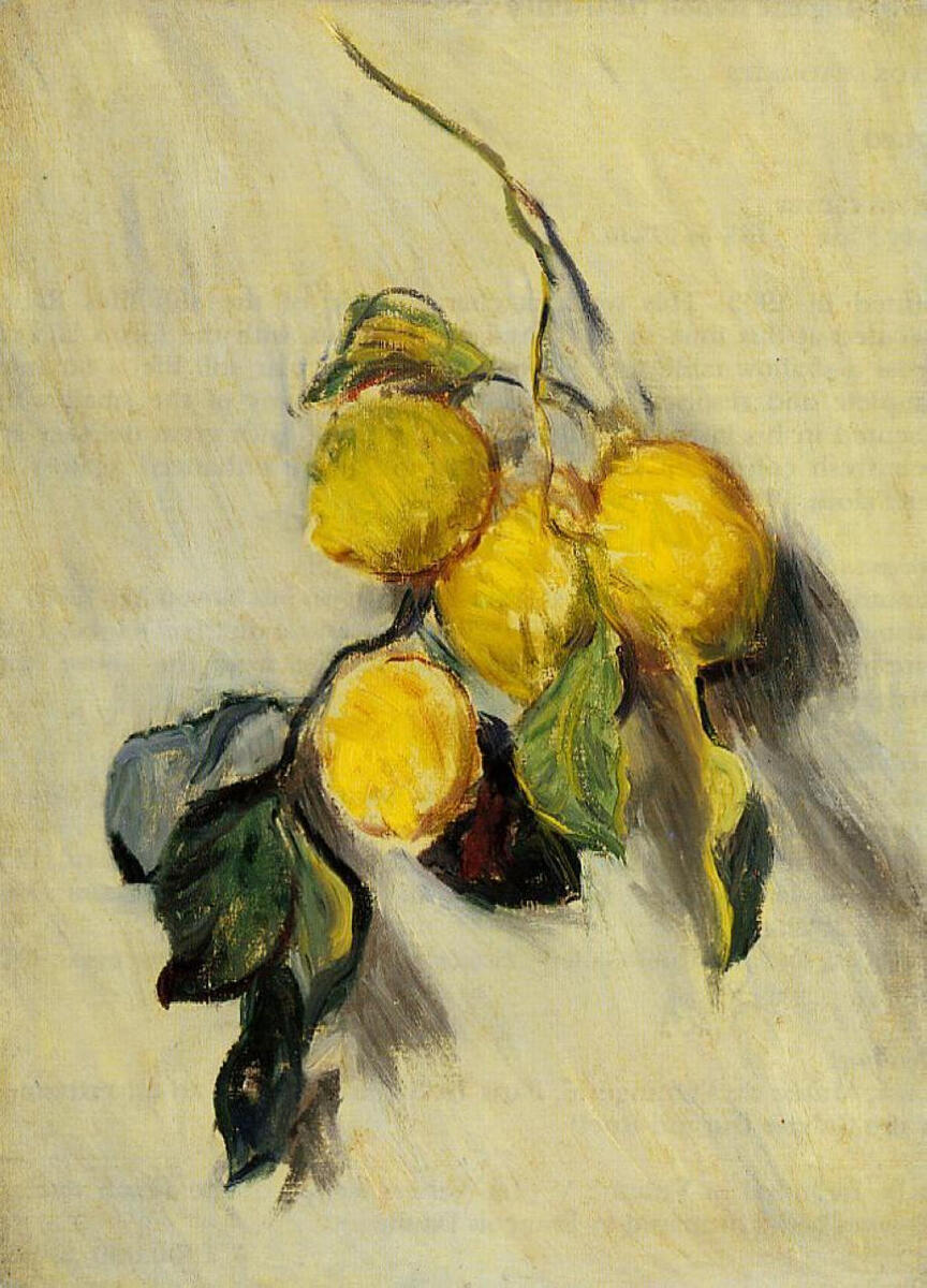 Branch of Lemons - 1884 #artbots #monet