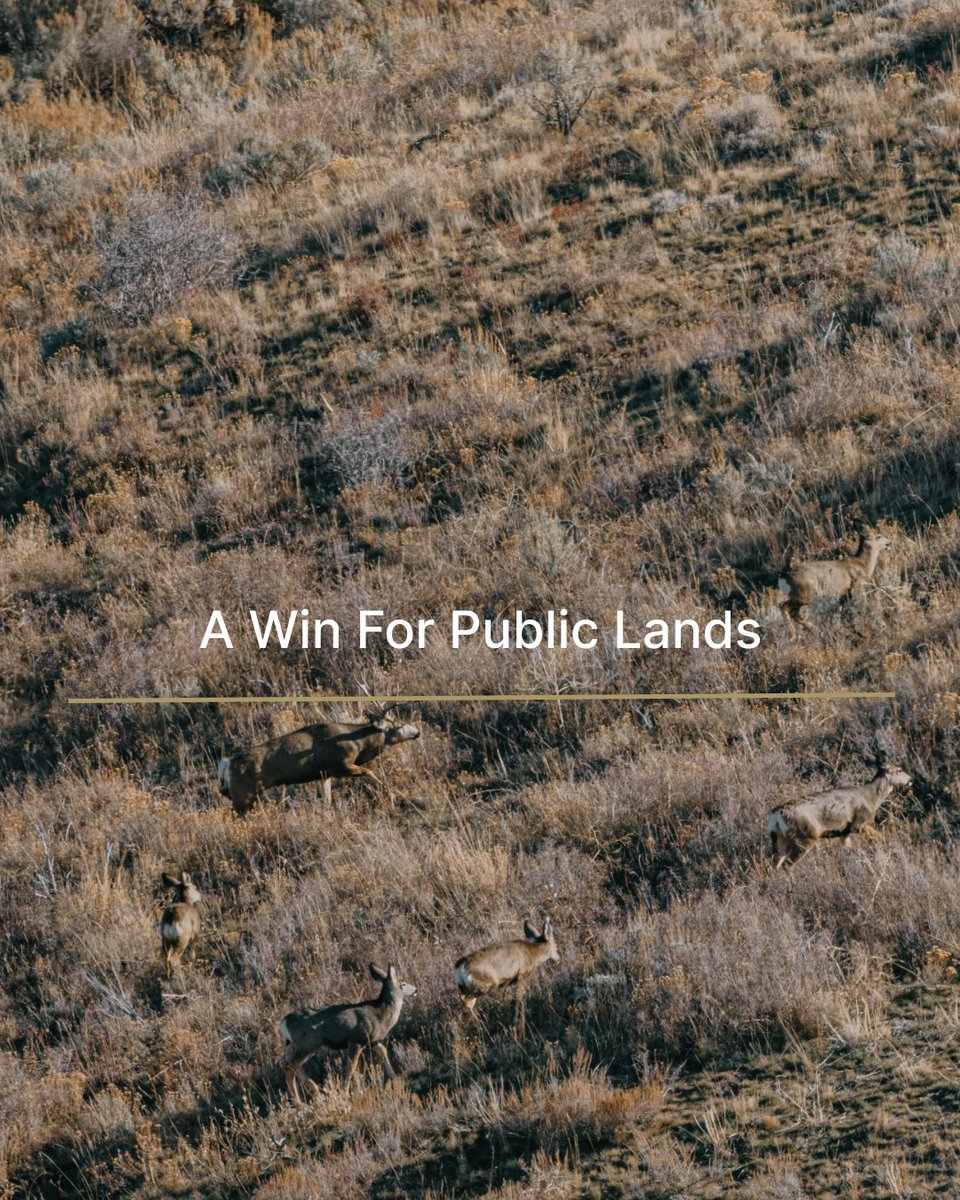 GOHUNT's tweet image. Earlier today, Senator Mike Lee removed his proposal to sell over 1 million acres of public land from the budget reconciliation bill. 

We want to thank all of you who took the time to make your voices heard and protect the lands we cherish.

#gohunt