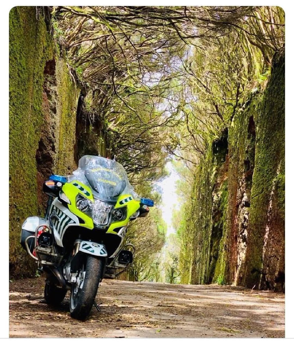 Dice que el que la persigue la consigue. Sal en busca de tus sueños y no te detengas hasta hacerlos realidad. Buenos días. Amigas y amigos.. Dios los bendiga feliz domingo”.💚🇪🇸💚🇪🇸💚