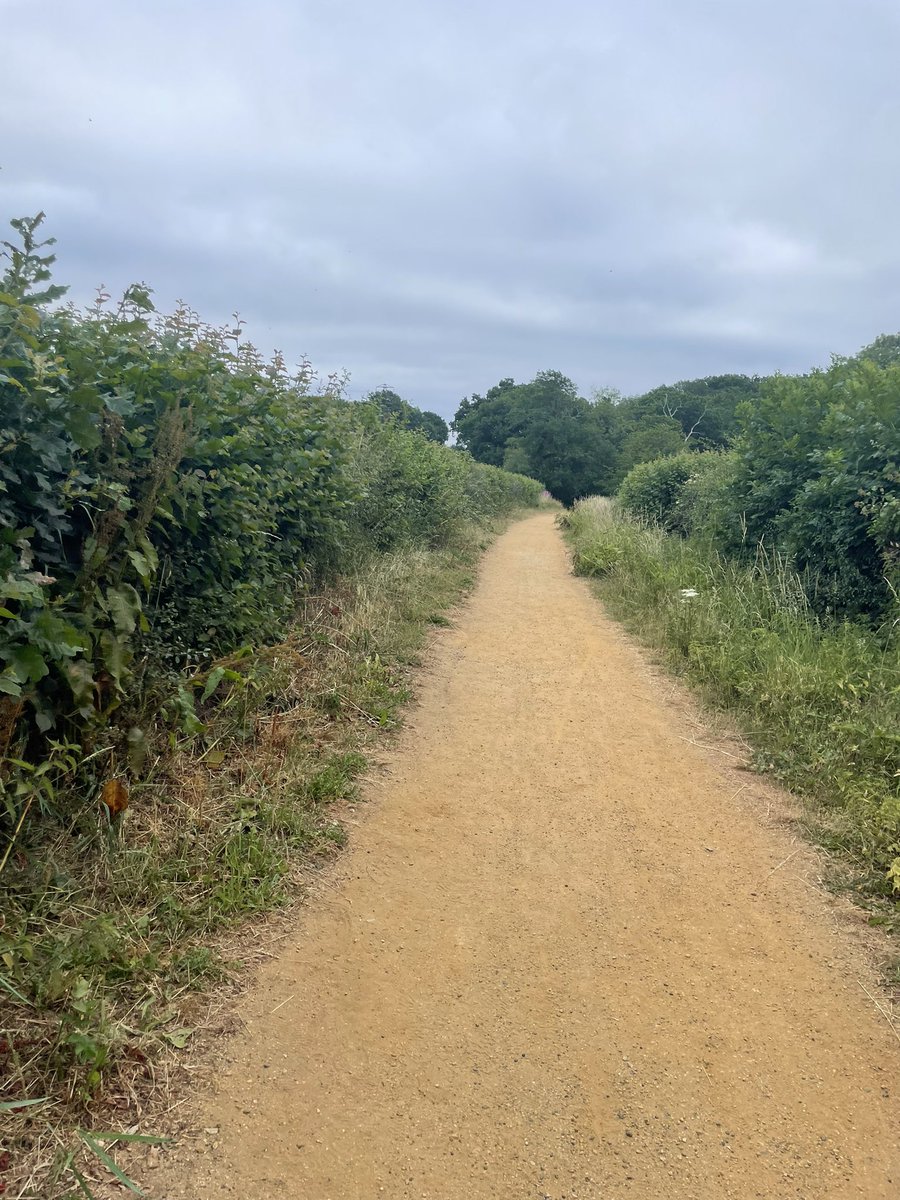 GemmaRogers79's tweet image. Some parts nice, some parts a bit creepy at six am when no one is around… where are all the dog walkers….