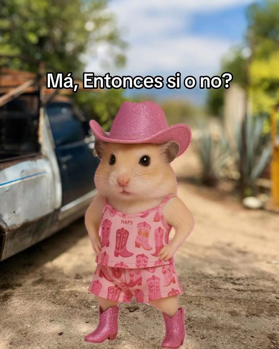 Yo de migajera… 🖤✨