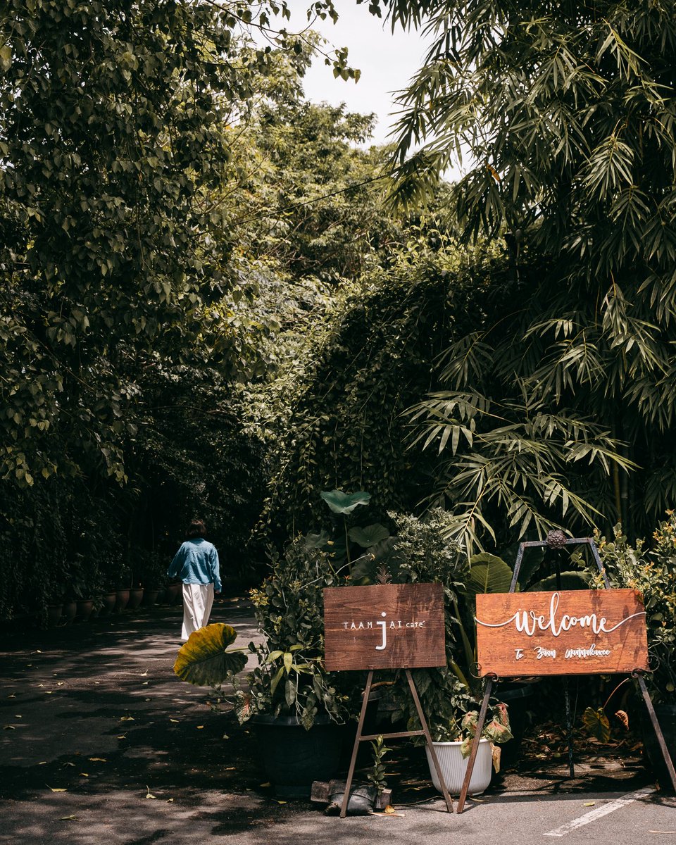 หลบความวุ่นวาย แล้วมานั่งจิบชาท่ามกลางสวนสีเขียวสดชื่นที่ Taamjai Café คาเฟ่สุดร่มรื่นในย่านห้วยขวางกันค่ะ ภายในคาเฟ่มีห้องชาสุดพิเศษชื่อว่า “ลุงชงชา” ตั้งอยู่ในอาคารก่ออิฐสีน้ำตาลอบอุ่น รายล้อมด้วยสวนป่าเขตร้อนที่ร่มครึ้มด้วยต้นไม้นานาชนิด บรรยากาศเงียบสงบเหมาะกับการพักผ่อน
