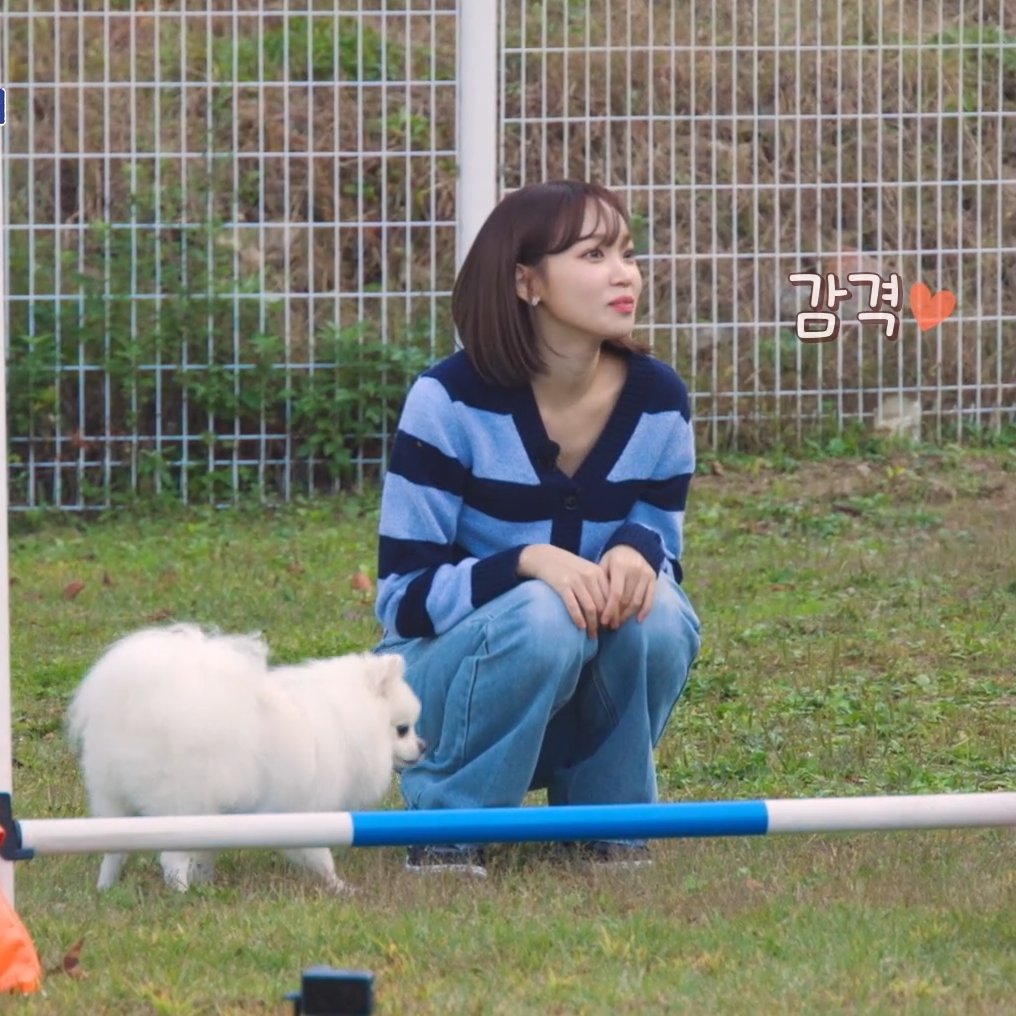 archivedkcw's tweet image. puppy &amp;amp; shiro