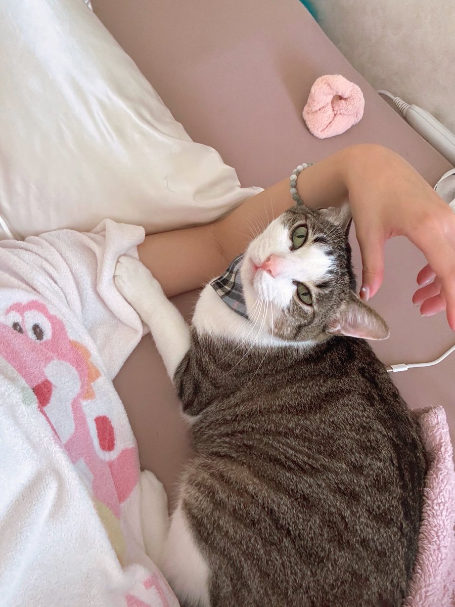 とにかくくっついて寝たい小僧。