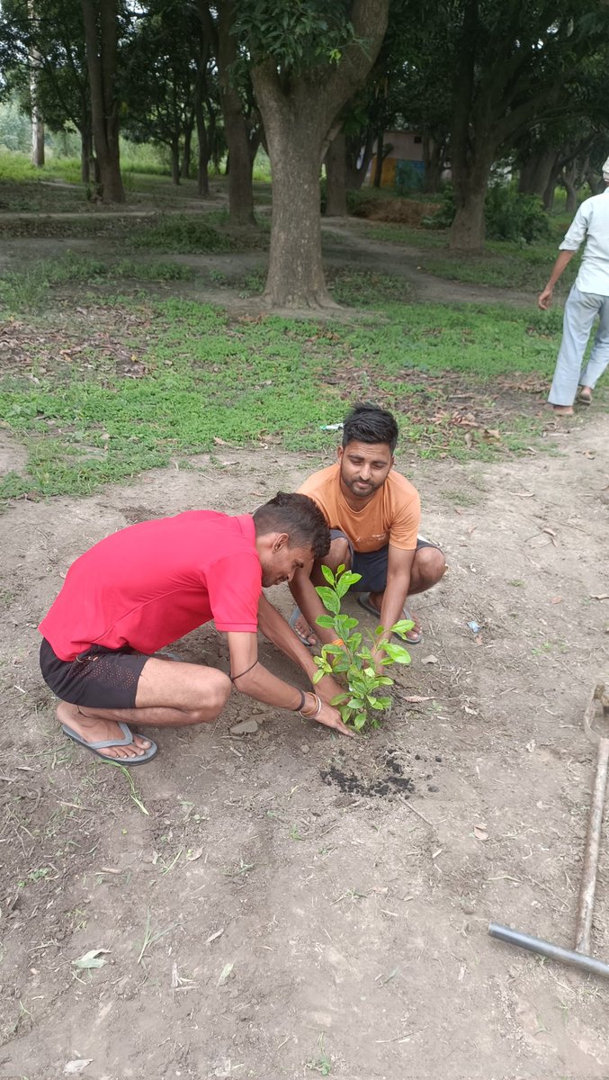 prashantmi96957's tweet image. &quot;एक पेड़ मां के नाम 🌳❤️
मां ने जीवन दिया,
पेड़ ने सांसें।
आज एक पेड़ लगाया —उस ममता, उस छांव, उस त्याग के नाम जिसे हम &apos;मां&apos; कहते हैं।
अपने बूथ संख्या - 397 पर बूथ टीम के साथ 
#एकपेड़मांकेनाम #TreeForMother #GreenIndia