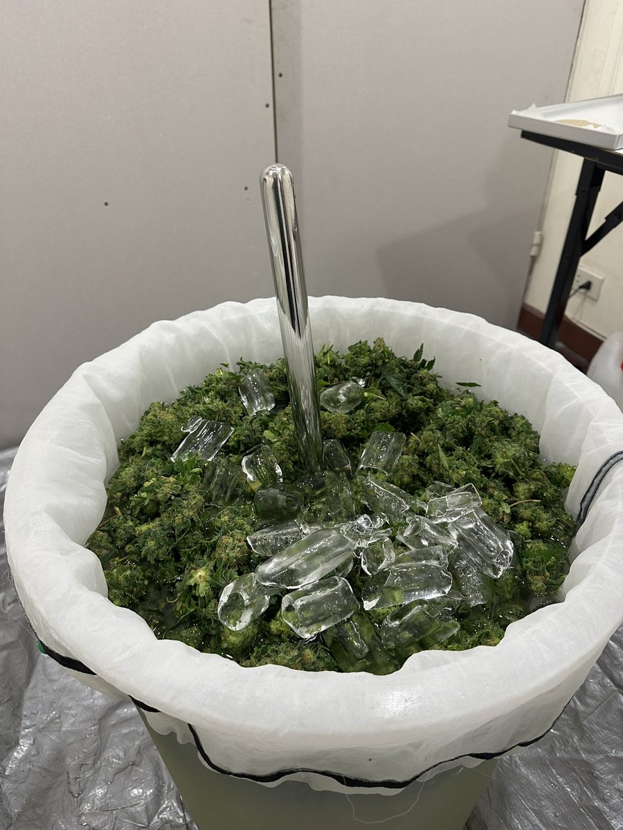 Freakys420's tweet photo. Washing day with @otf_frenchflair, @otfbiscotti and @AimlessBeeGrow ! ๐ฆโ๏ธ๐บ
#hashlife #wpff #smokeweed #hightimes #otf #freakys https://t.co/GhSLyPyDVI