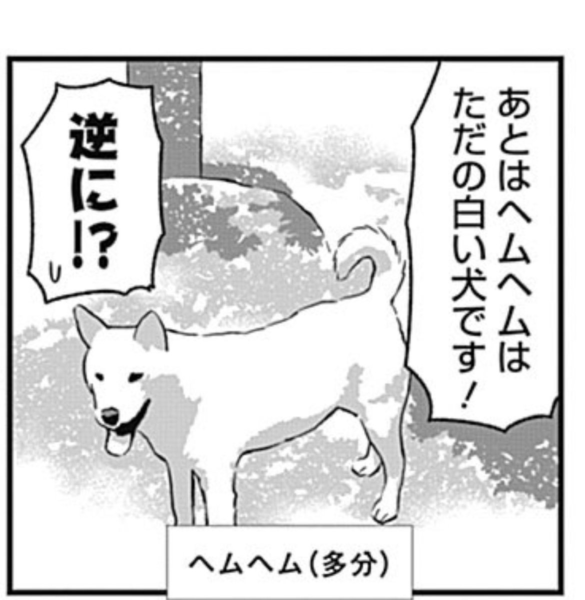 邦キチ 実写版忍たま乱太郎編
https://t.co/REFXB39IdR 