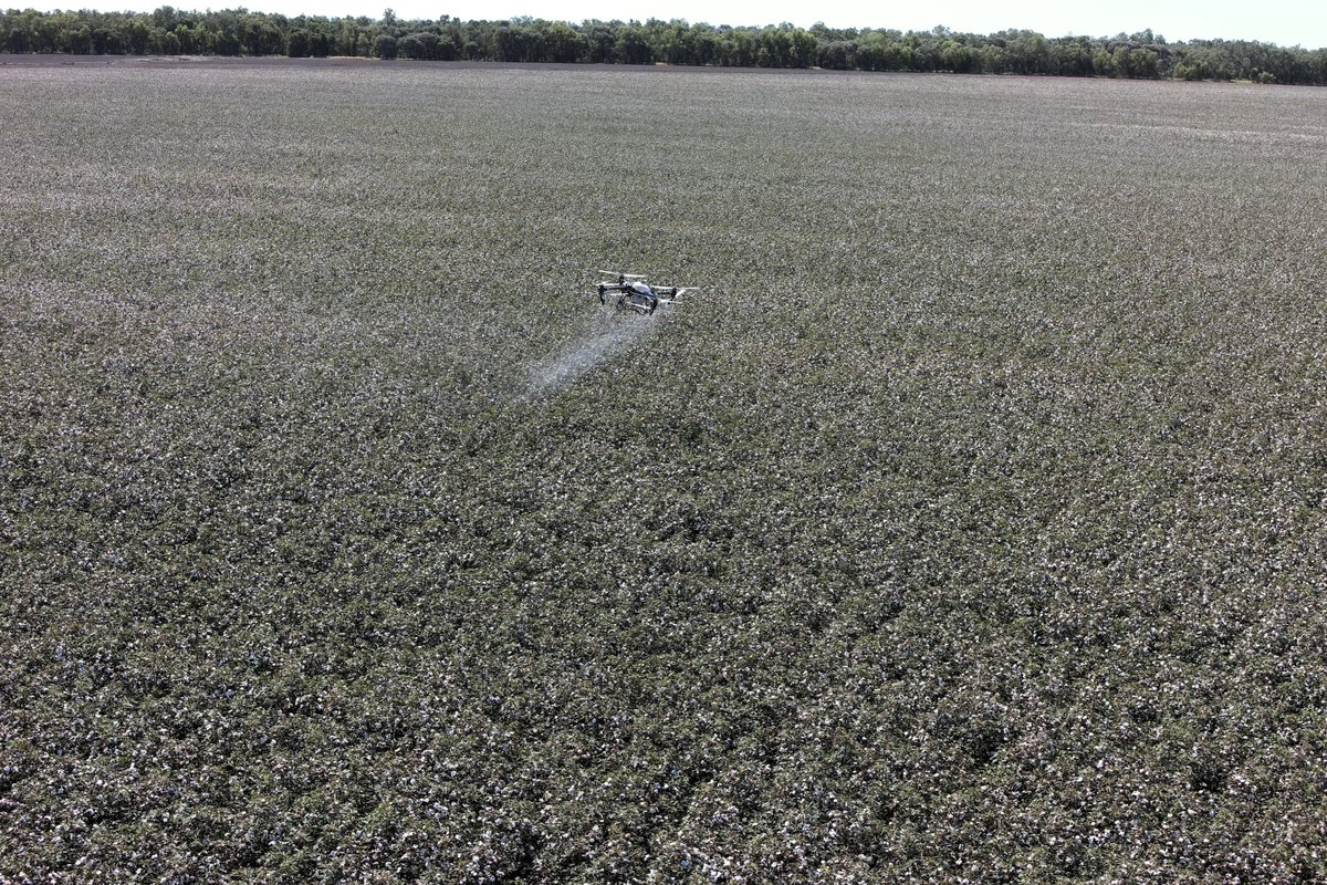 Our services have now expanded to include spray drone capability. Excited to take delivery of a DJI AGRAS T50 for replicated plots, test strips, or commercial application. Building on our mapping / monitoring services. #ausag #CQ