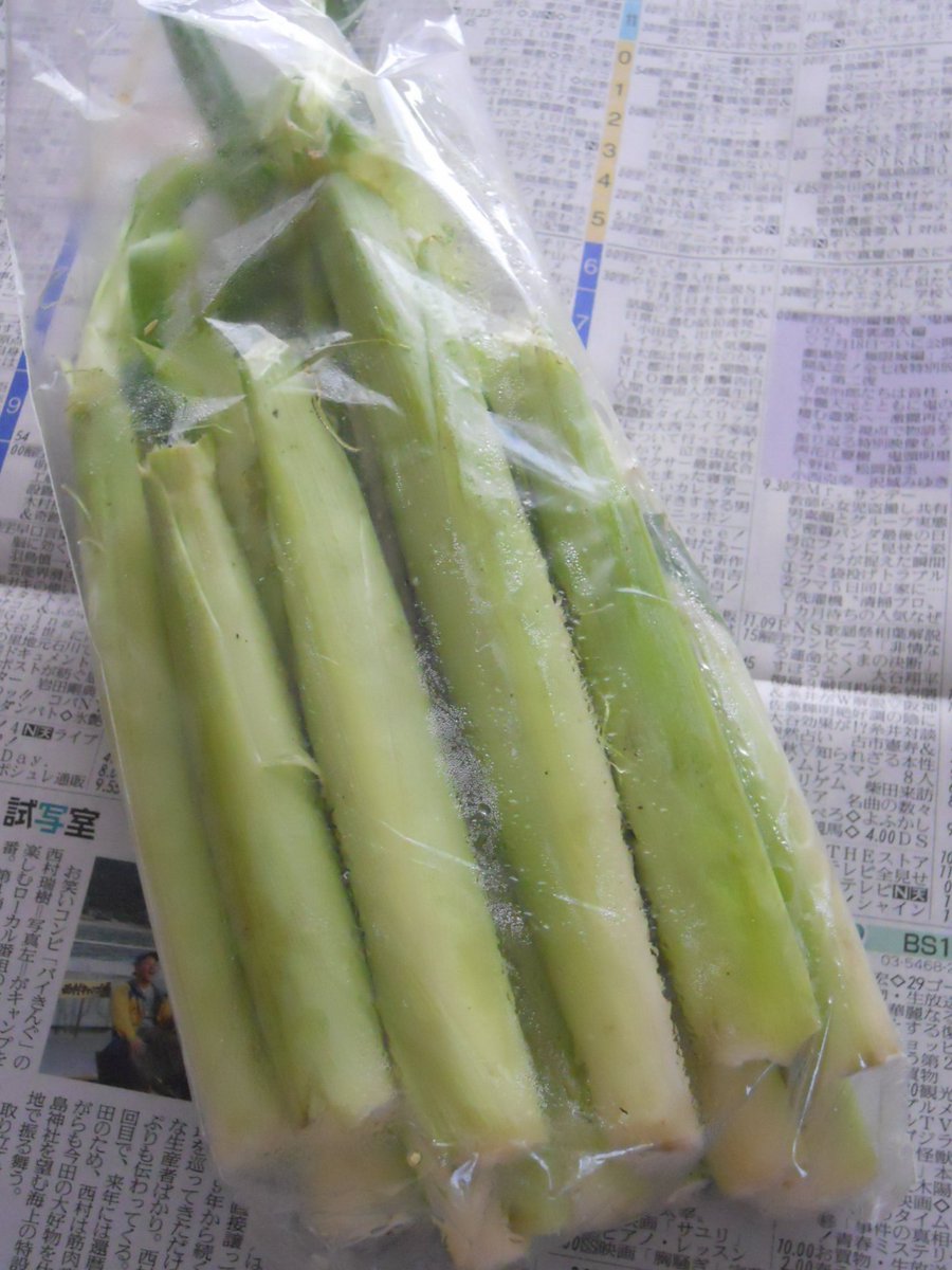 pinev456 tweet media