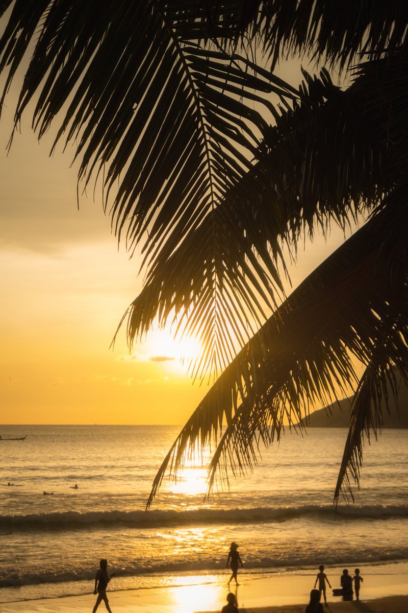 Strawberry 🍓 tweet media