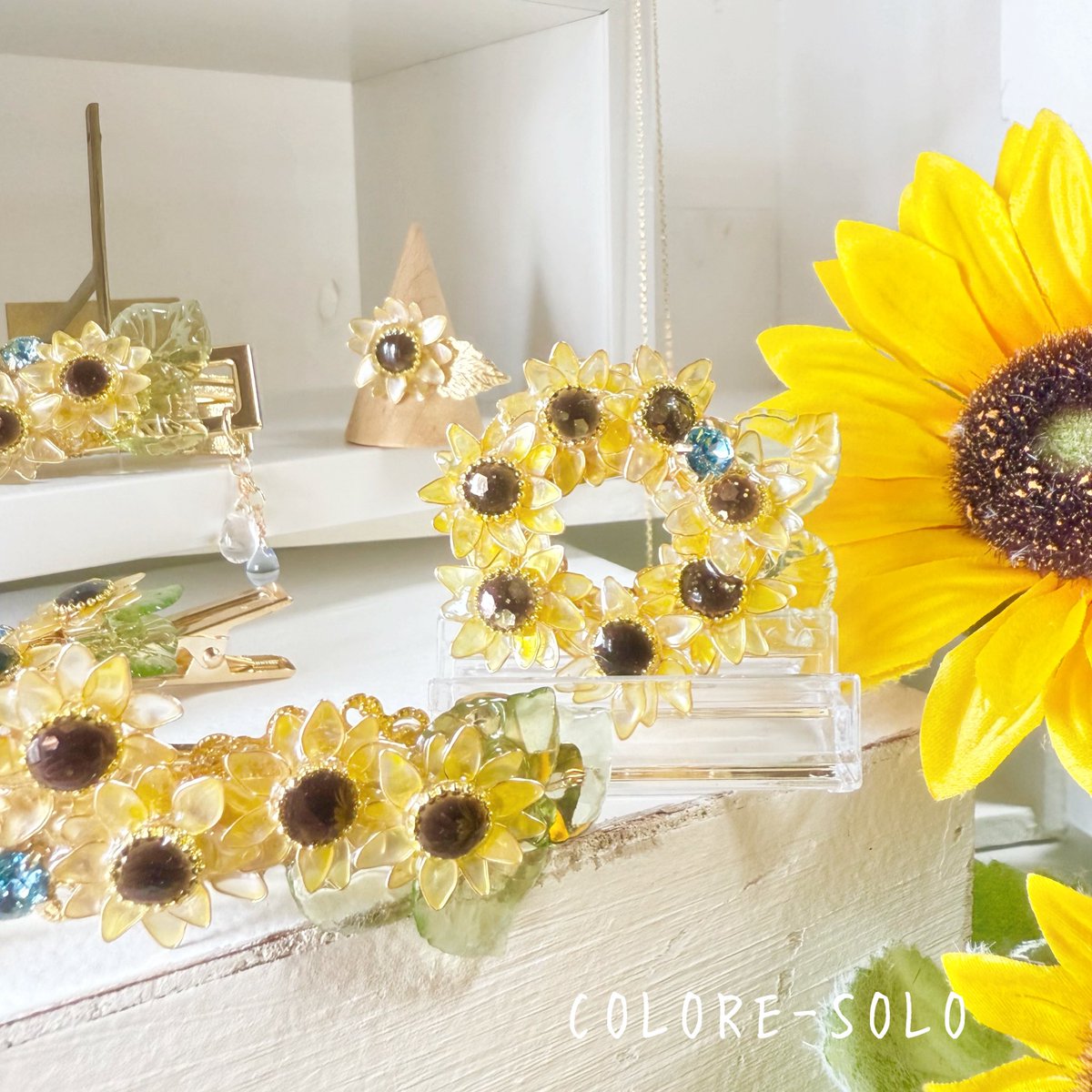 COLORE-SOLO tweet media