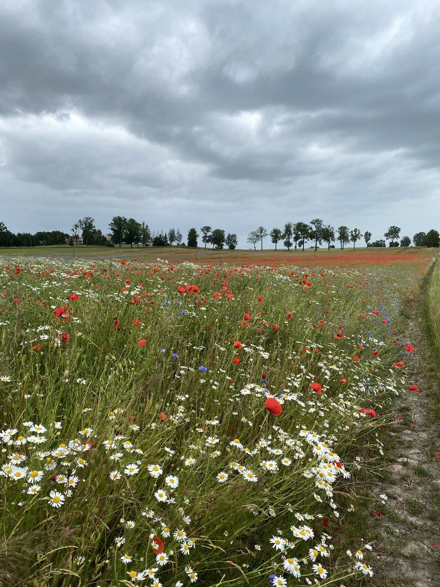 Раков, Воложин и Лида