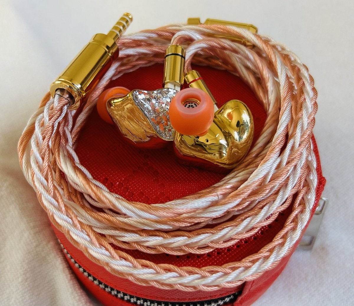 🎧🔥【EarAcoustic Audio VSA-LTD】究極のサウンドを追求するイヤホン