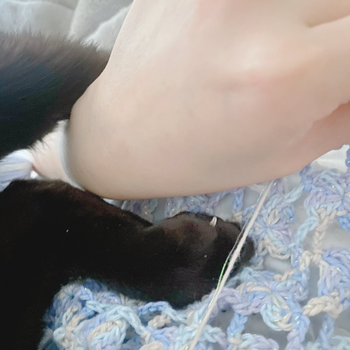 一旦後身頃編み始めたんだけど、足で挟むのやめてほしいな🥹