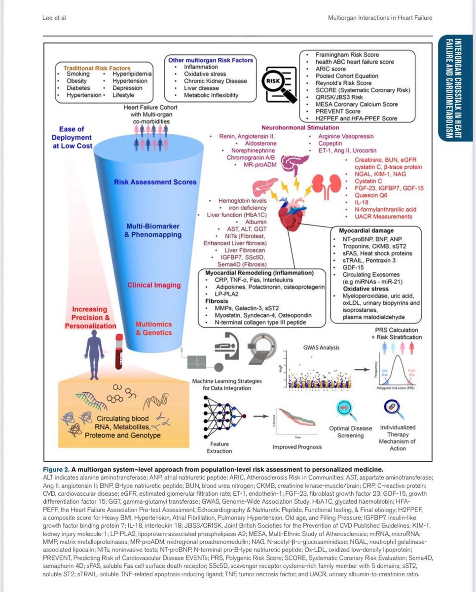Cardiovascular, Kidney, Liver, and Metabolic Interactions in Heart Failure

highlight the cardiac, kidney, liver, and metabolism multiorgan interactions and pathways that complicate HF development and progression and propose research strategies 

ahajournals.org/doi/10.1161/CI…