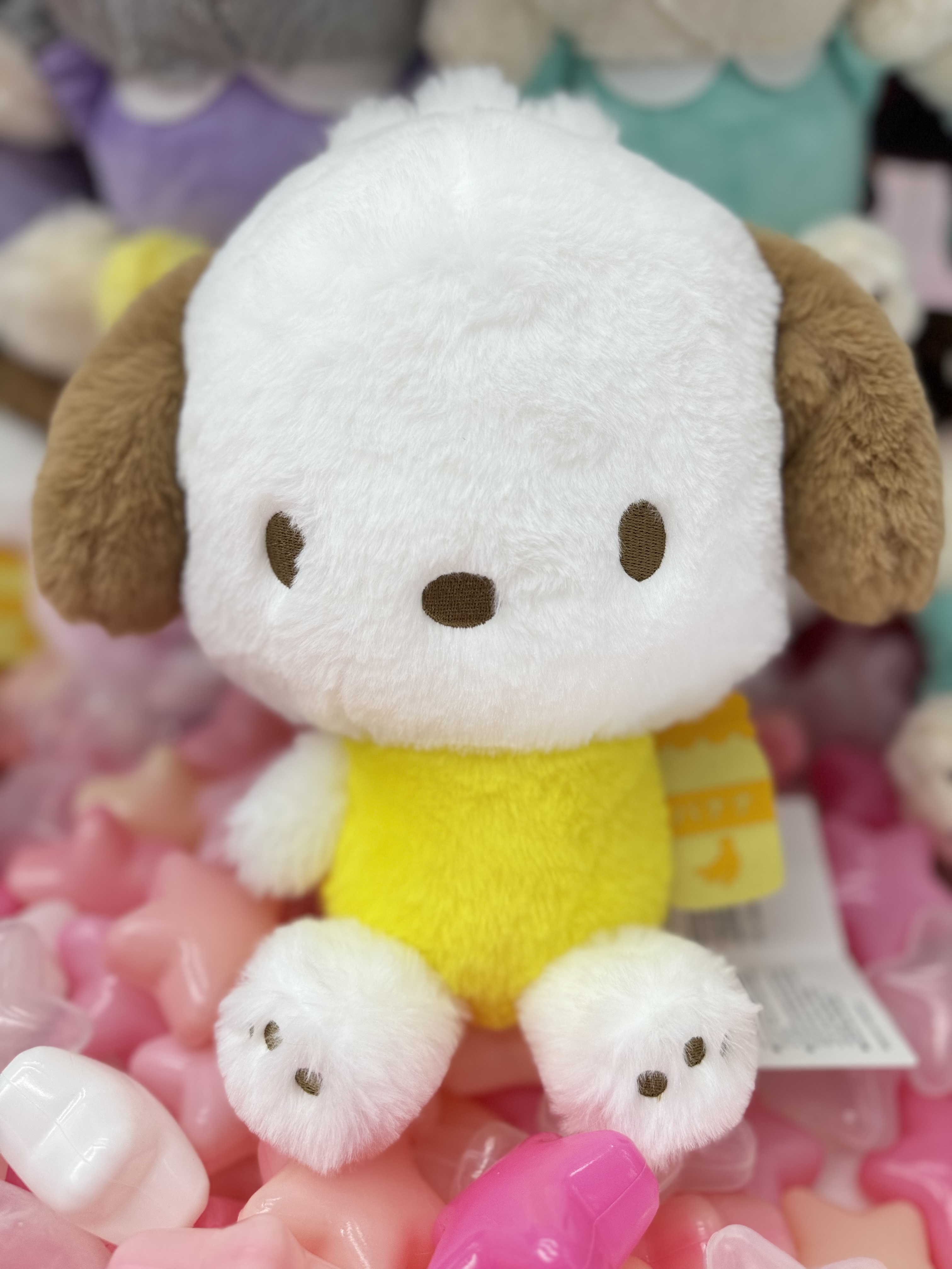 サンリオ ポチャッコ もっちりマスコット キャラクター大賞６０個 楽天市場】ポチャッコ マスコット もっちりマスコット