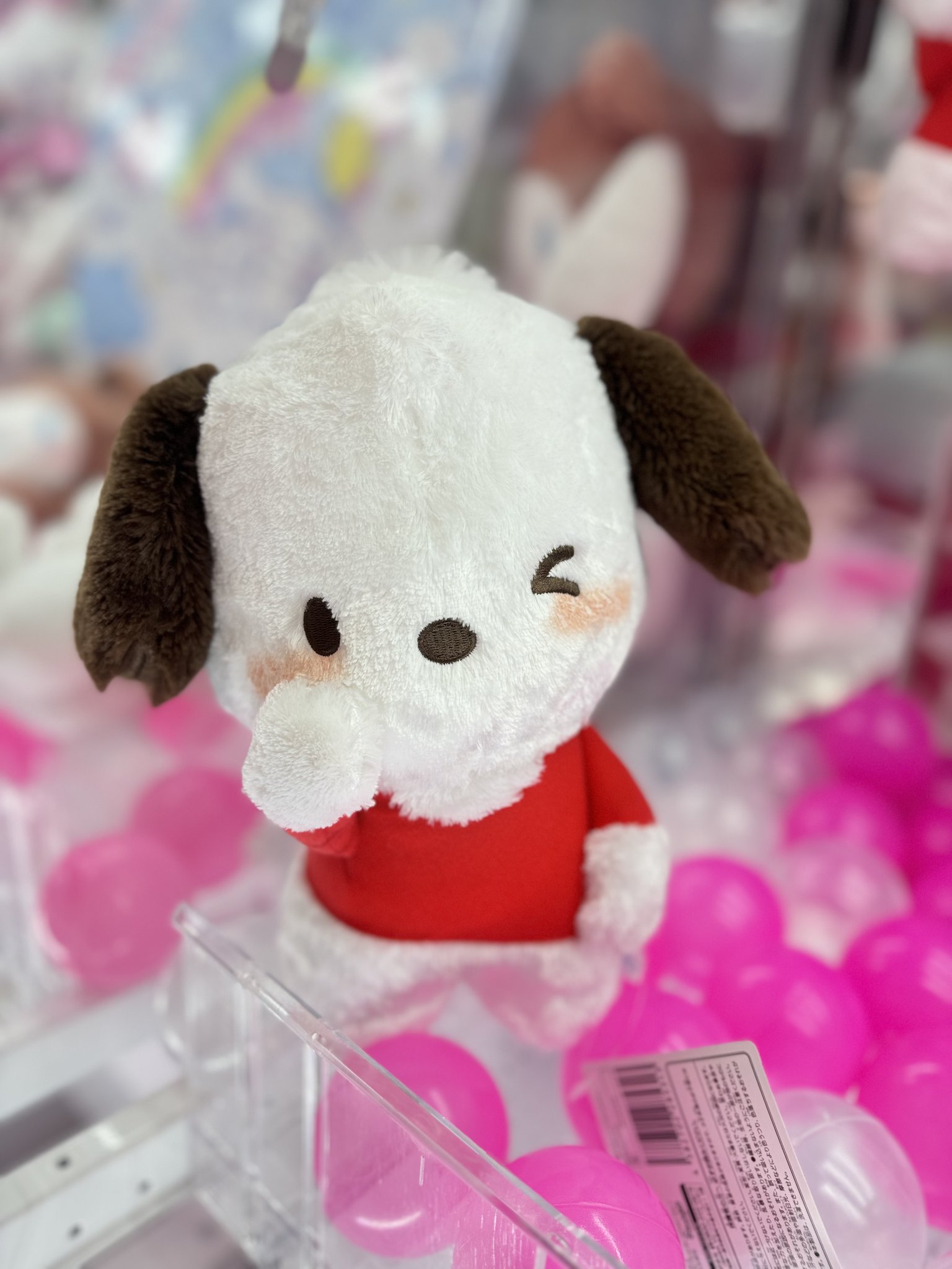 サンリオ ポチャッコ もっちりマスコット キャラクター大賞６０個 ポチャッコ】サンリオキャラクターズ しましまもっちり