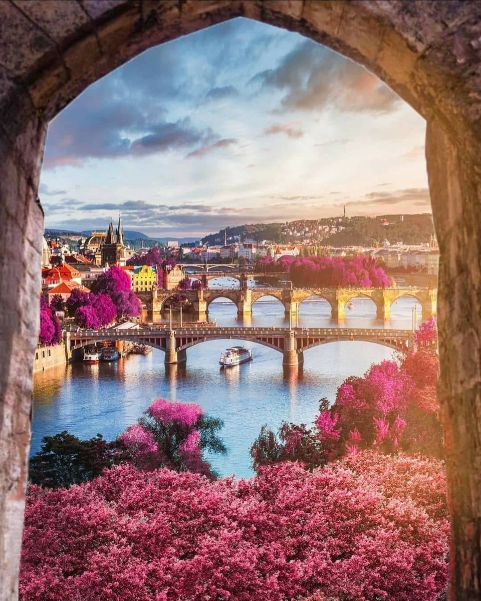 RubyJohnso54292's tweet image. Prague, Czech Republic