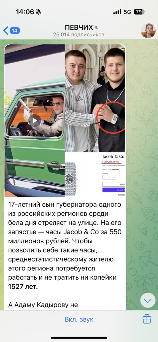 Красиво военные живут