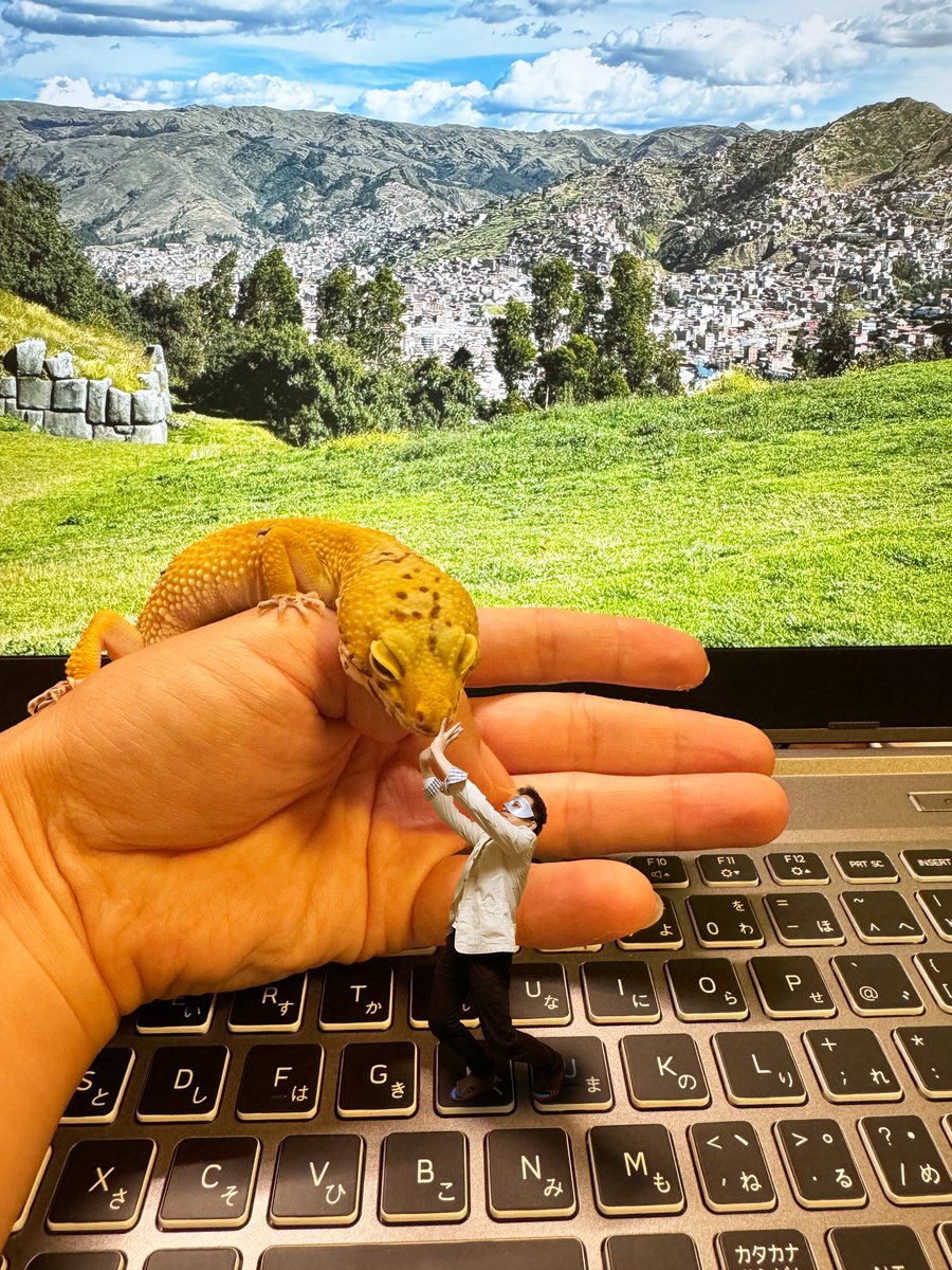 かわいいぜ！もんちゃん！
今日は体温が高いからずっと引っ付いてくれますね。
がんばれ!Mr.ながおか!
いいね♥とフォローしてくれると嬉しいです

★独り言★
解熱してきました。

#ヒョウモントカゲモドキ
#レオパ
#leopardlizard
#合成写真
#followme