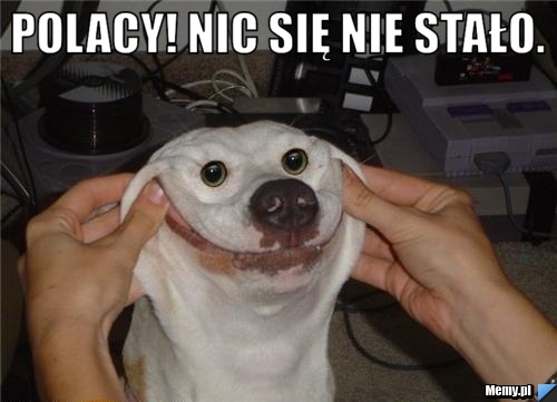 DomiGasiorowski's tweet photo. 1/21 Okazuje się, że w wyborach doszło do pomyłek, które nie miały wpływu na wynik. PO chciało ponownie liczyć głosy, ale przejrzało na oczy. Można więc spokojnie wrócić do RKW, nikt nie zarzuci chęci podpalenia Polski. https://t.co/xWAH1PbSrf