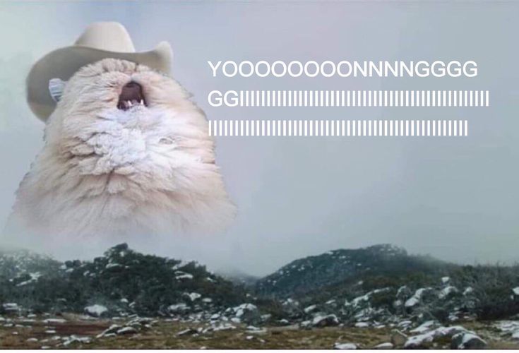 Jhaa (@yoongiversal7) on Twitter photo 