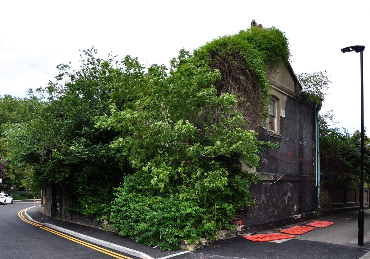 jon_cooper75's tweet image. North Woolwich E16, the hairy house…