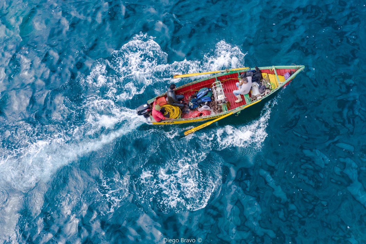 Bitecma Ltda. (@bitecma) on Twitter photo Hoy, domingo 29 de junio es San Pedro, patrono de todos los pescador@s! Además, hoy se celebra el Día Nacional de la Pesca Artesanal! Enviamos un cálido saludo a nuestros amig@s pescadores artesanales, y a todos quienes trabajan en la mar y de sus bondades 🐟🚣🏻 🌊🎉! Hoy, domingo 29 de junio es San Pedro, patrono de todos los pescador@s! Además, hoy se celebra el Día Nacional de la Pesca Artesanal! Enviamos un cálido saludo a nuestros amig@s pescadores artesanales, y a todos quienes trabajan en la mar y de sus bondades 🐟🚣🏻 🌊🎉!