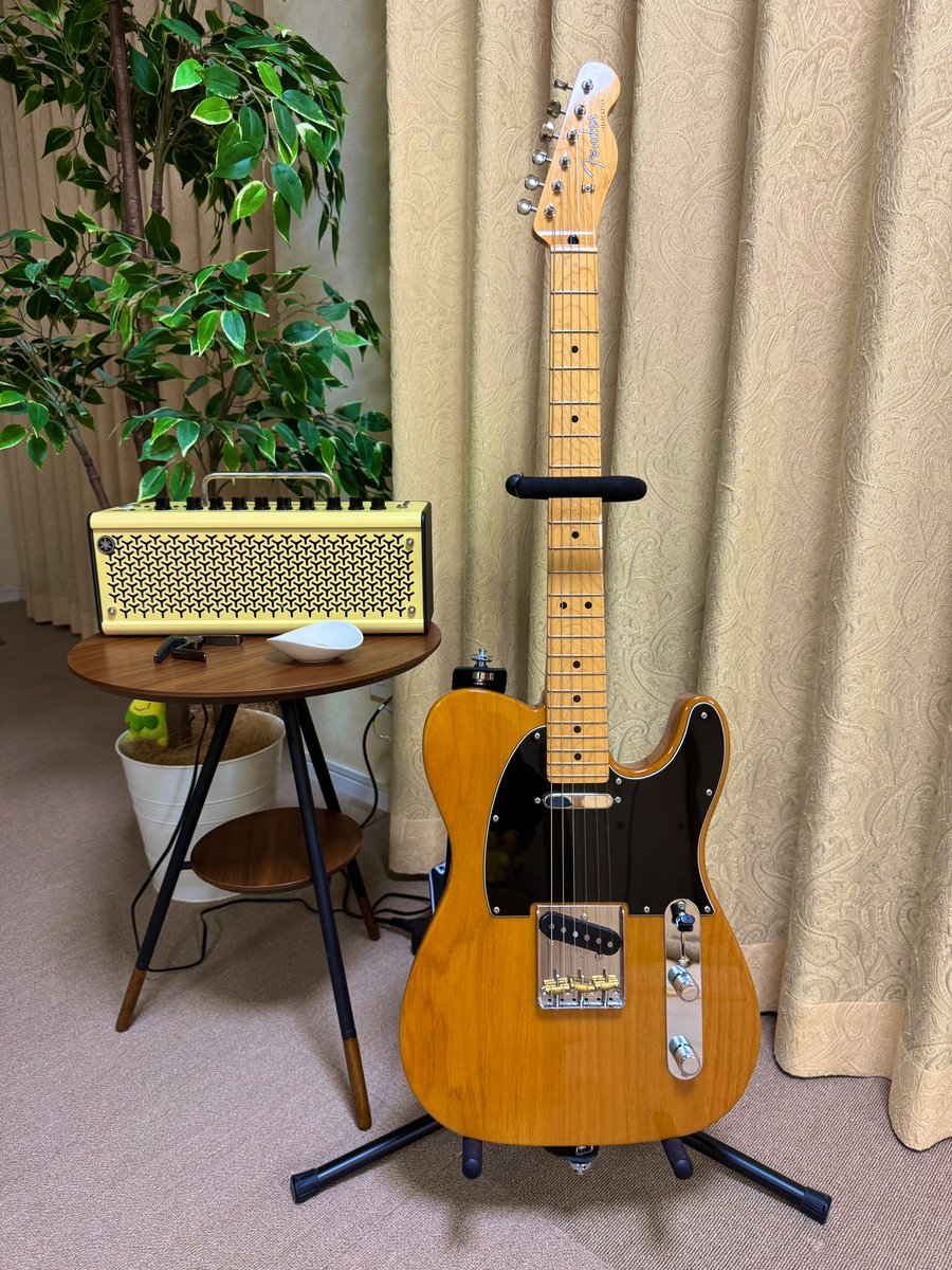 music_tech21's tweet photo. テレキャスといえばこのイメージ！
USEDだったけど一目惚れ🤩
#俺のテレキャスかっこいいだろ選手権 https://t.co/nHbTt58Nop
