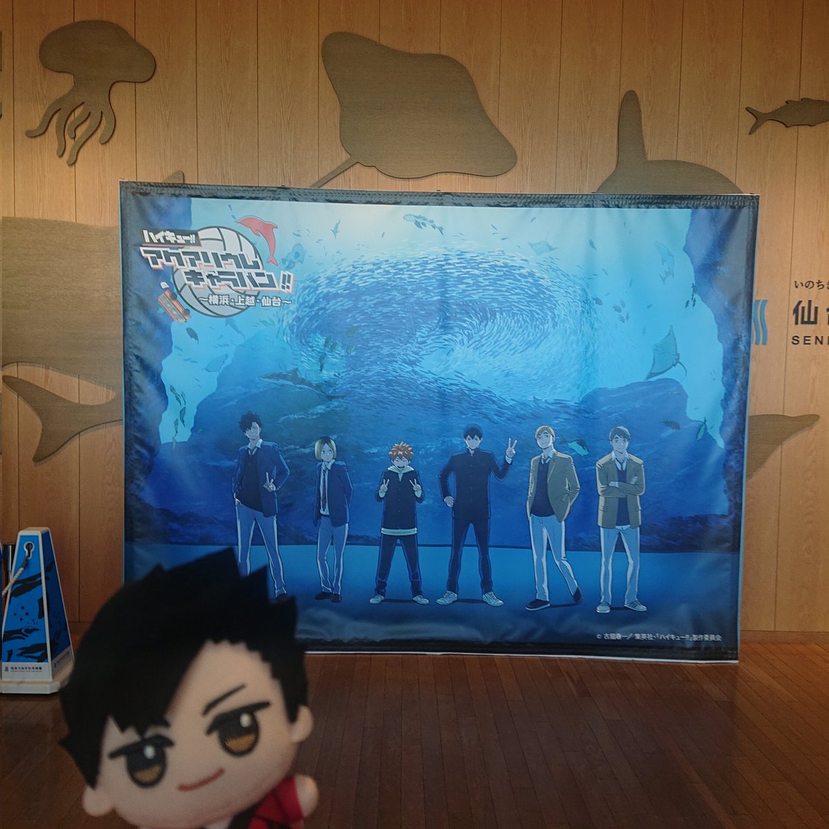 yk9pupe's tweet photo. ギリギリ行ってきた！！
久しぶりに水族館行けて楽しかった✨ https://t.co/waOPvhUWOG